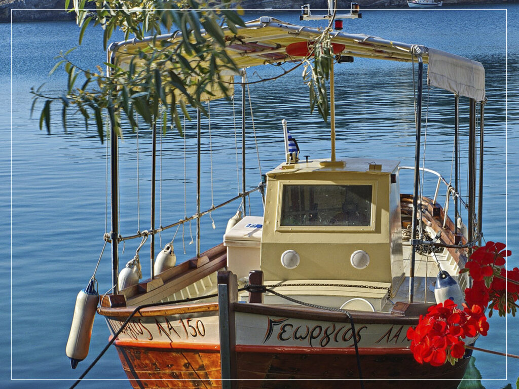 Alonissos - Vasilis Drosakis - 2024