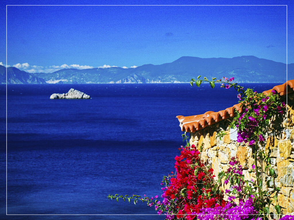 Alonissos - Vasilis Drosakis - 2024